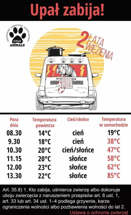 Szczenięta