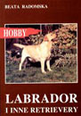 labrador